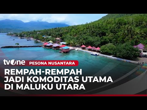 Surga Rempah di Maluku Utara | Pesona Nusantara