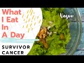 Apa Yang Kumakan Sebagai Seorang Survivor Cancer Yang Sembuh Dengan Pola Hidup Alami Tanpa Obat