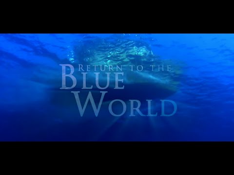 Return to the Blue World - Embudu Malediven - Canon Powershot D20 - GoPro Hero3 Black Edition