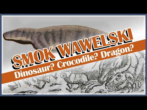 WTH is Smok wawelski?!