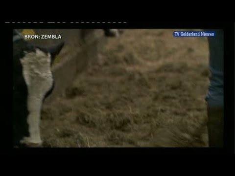 GLD Nieuws 9 april 2010 - Nieuws