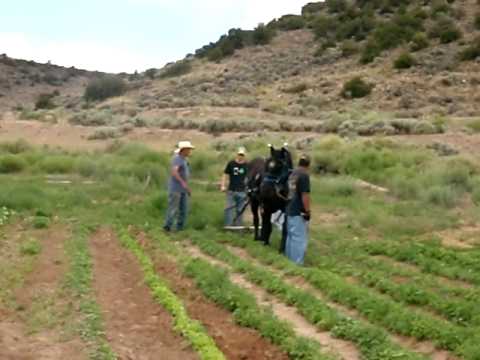 Acequia Institute Video Library
