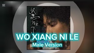 Download lagu WO XIANG NI LE | KARAOKE | MALE | PIK2LIVE mp3