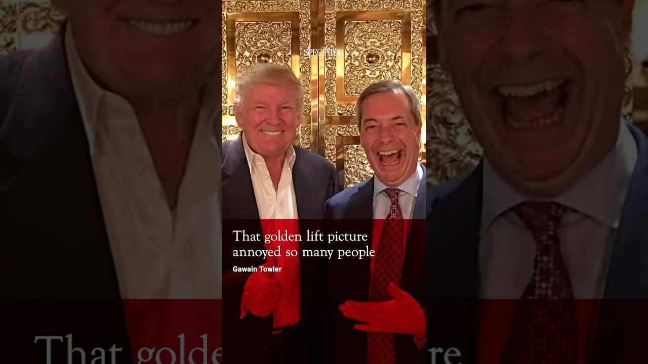 'That picture of Trump and Farage annoyed so many people'  #politics #usa