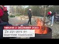 Kerstbomen voor het goede doel en hoop op minder poepoverlast | Dit is Flevoland