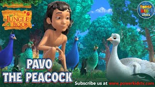 The Jungle Book Season 2 | Pavo The Peacock | Episode 1| Powerkids World