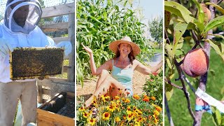 GARDEN TOUR 2022 - Plus our honey bees & orchard