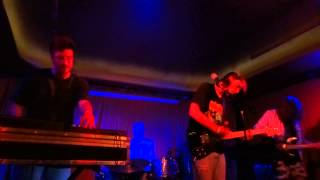 Painted Palms - Hypnotic