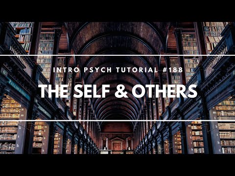 Intro to Social Psychology Intro Psych Tutorial 186