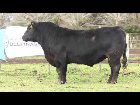 RP 4115   Cabaña Las Blancas