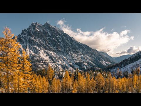Capturing Fall Colors in Early Winter, Washington State