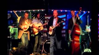 Blackbirds and Crows