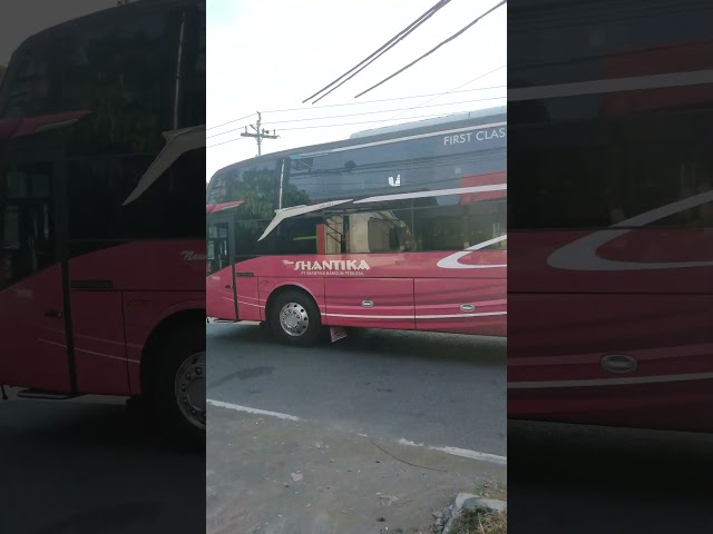 New SHANTIKA Dream Coach Jetbus 5 NEW FLEET Recommended sleeper bus #carnews