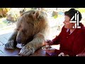 Breakfast With Your Pet Bear Bear About The House Me My Supersized Pet