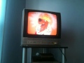 Opening To My 1997 Vhs Of Wild America 6 16 14