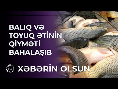 Balıq və toyuq ətinin qiyməti bahalaşıb