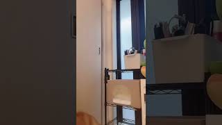 ギャル後ろからのパンチラ