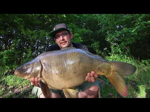 SBS Minuten - Stalking mit Shordy