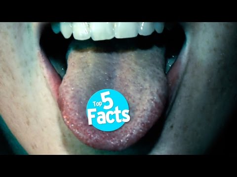 download lagu mp3 mp4 Hello Kitty Mdma, download lagu Hello Kitty Mdma gratis, unduh video klip Hello Kitty Mdma