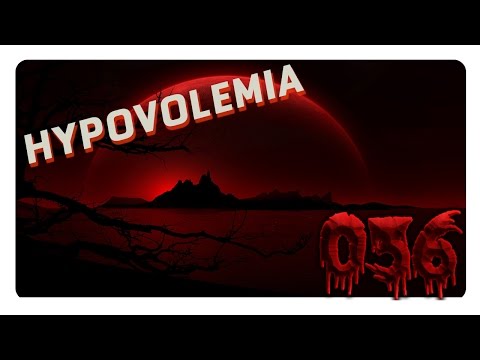 Lets Play Hypovolemia #36 Ja ich baue endlich den ME Controller