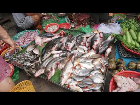 Compilation Morning Food Market in Phnom Penh City - Walking Tour Around Food Market in The Morning