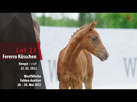 Fohlen-Auktion 26. - 30. Mai Lot 27 Fererro Küsschen Hengst v. For Romance - Rubin Royal