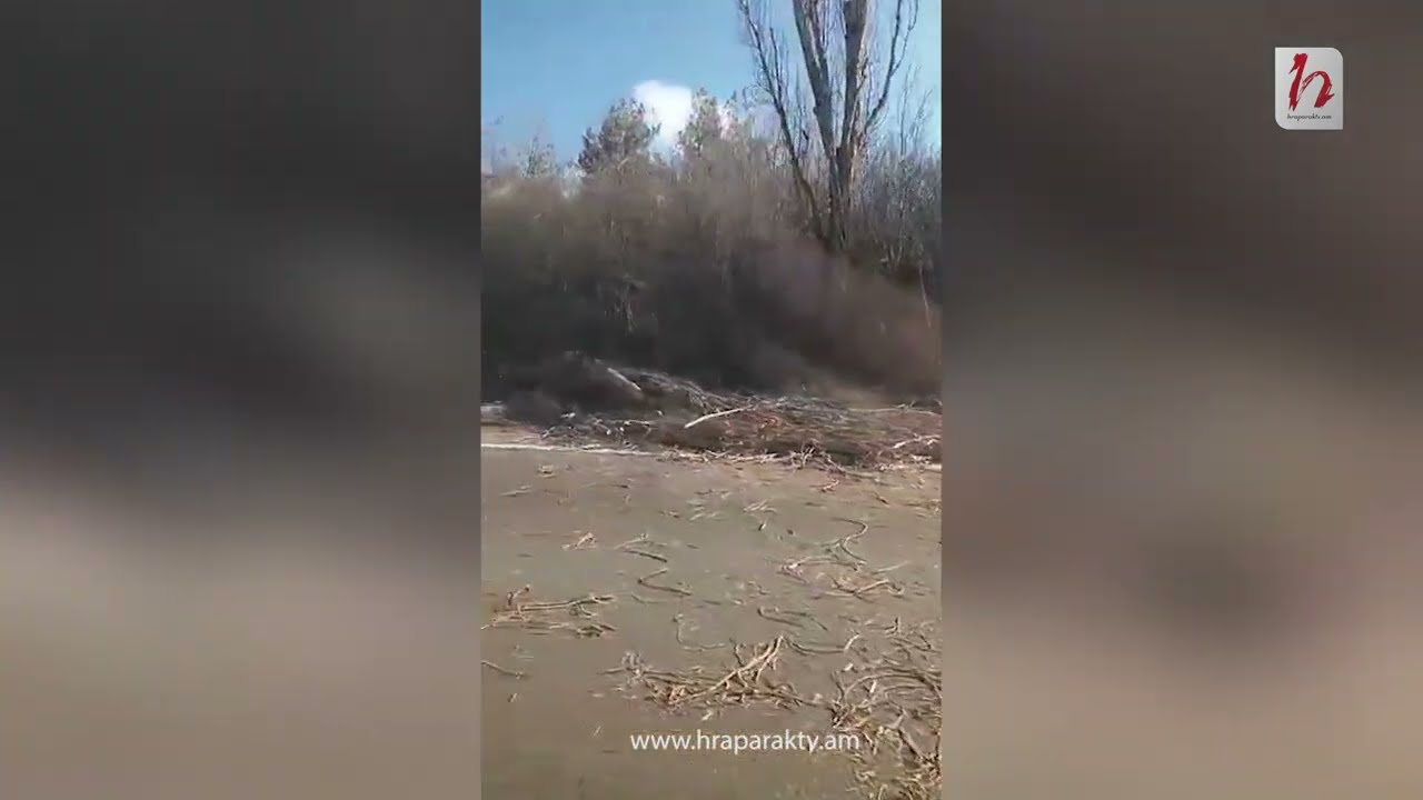 Հատվում են բարդիներ