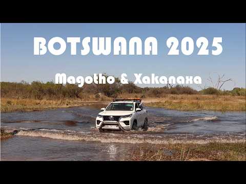 Botswana: Magotho, Xakanaxa and More