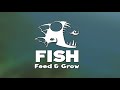 НОВАЯ ОБНОВЛЕННАЯ МАХИ-МАХИ, ОБНОВЛЕНИЕ! | Feed and Grow Fish