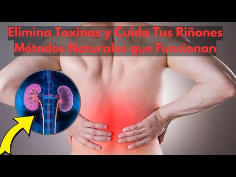 Cómo Limpiar Tus Riñones y Mejorar Tu Salud Renal Naturalmente