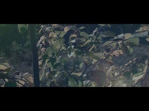 Video thumbnail for Sudenmorsian