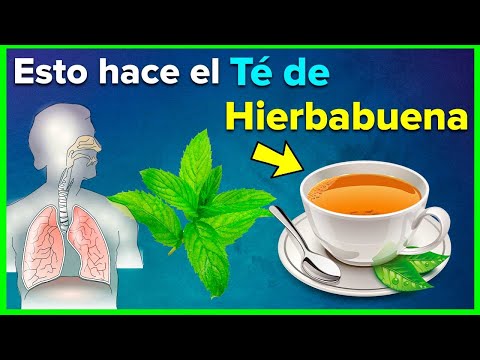 Estos Son Los Beneficios y Propiedades del Té de Hierbabuena