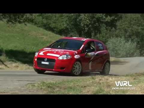 Clip Personalizzata Rosso - De Giorgis Fiat Punto R3D 3° Ronde d'Estate 2016