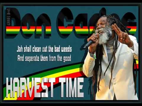 Harvest Time - Don Carlos