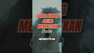 Download lagu Suara burung paling menakutkan part 2 #shortvideo #shorts #short mp3