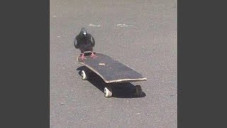 Kickflips Music Video