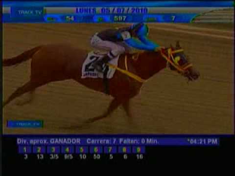 Resumen Lunes 5 de Julio 2010 - La Rinconada