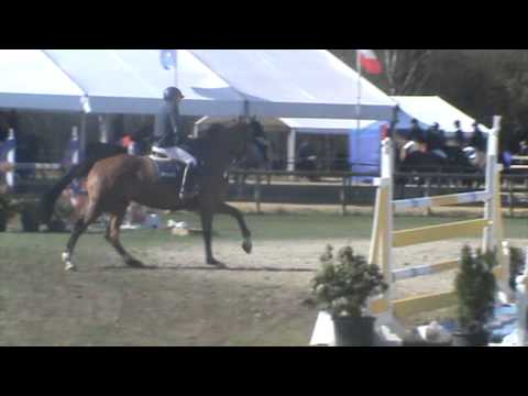 CSI*Lummen_6Y