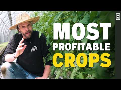 15 MOST PROFITABLE Crops For Small Farms & Market Gardens
