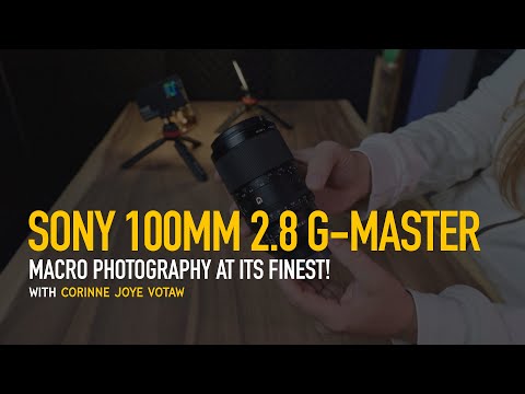 Sony 100mm f/2.8 Macro GM OSS – Real First Shots, Unboxing & Honest Review!