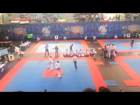 Dylan Fitzgibbon v Bryan Van De Westelaken Team Sparring - ITF World Championships