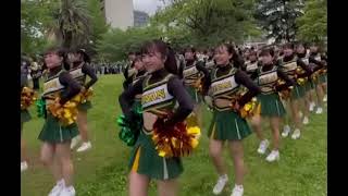 いざゆけ若鷹軍団　チアリーダー