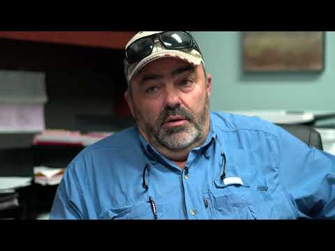 Equip 6A, SFTP, 20m, geltona (606310) video