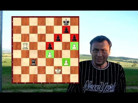 Pěkný souboj nejlepších českých hráčů - David Navara a Nguyen Thai Dai Van