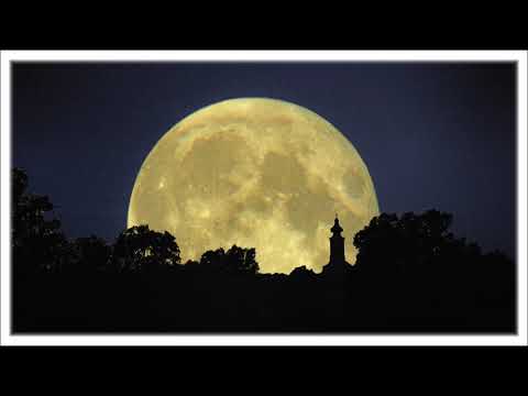 Poezja śpiewana- WOJCIECH DUTKA - W nocnej godzinie.