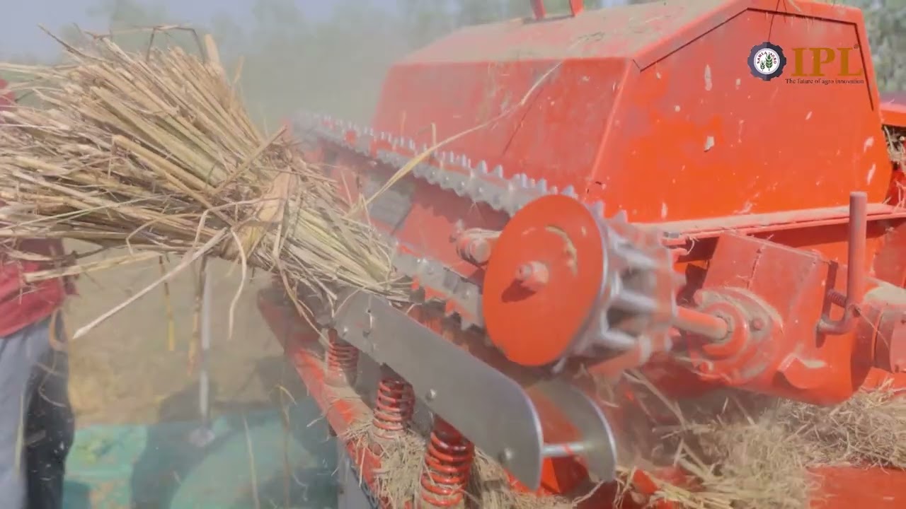 IPL Paddy Thresher in operation