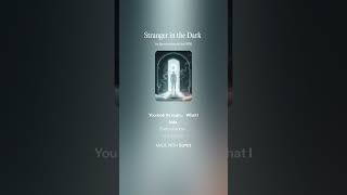Stranger in the Dark