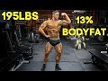 Up To 195lbs at 13% Body Fat