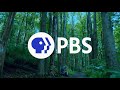 PBS KQED WETA Close You Re Watching PBS 2023