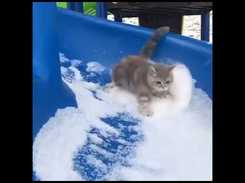 [MV]KIRARA - Worries(걱정)